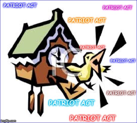Cuckoo ~ Patriot Act