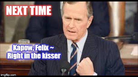 KAPOW, FELIX ~ RIGHT IN THE KISSER