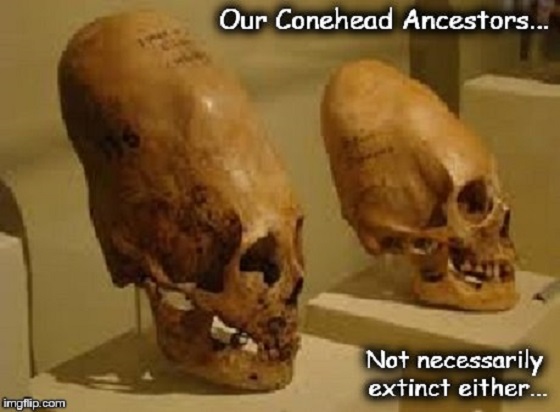 Our Conehead Ancestors