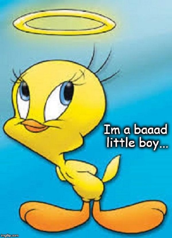 Tweety Pie ~ I'm a bad little boy ~