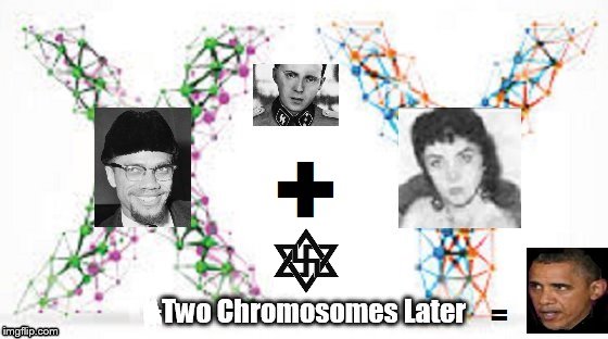 OBAMA ~ X + Y ~ Mommy und Daddy ~