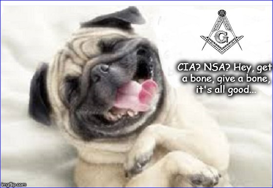 Zionist Dog says it's all good ~