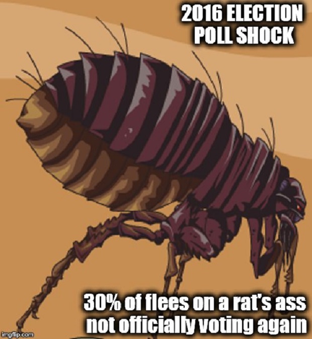 2016 election poll shock 620