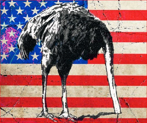 American Emu ~