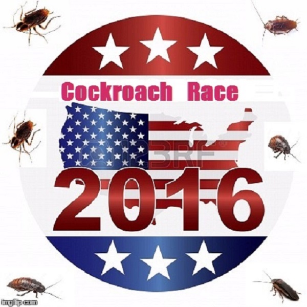 Cockroach race 2016 ~ 600 ~