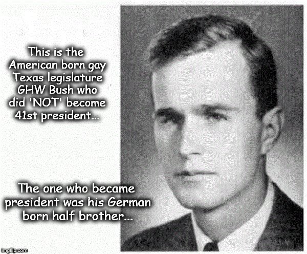 Felix Bush who what ~