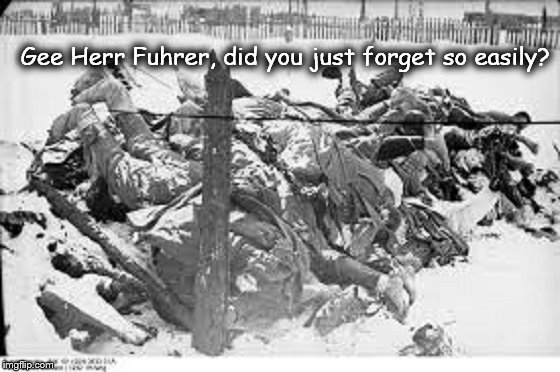 Gee Herr Fuhrer ~ Frozen German soldiers ~