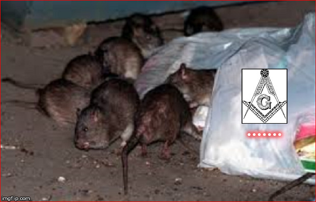Masonic rats