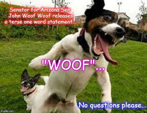 Sen John Woof Woof ~ Dog ~