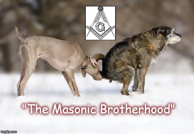 The Masonic Brotherhood dogs shitting