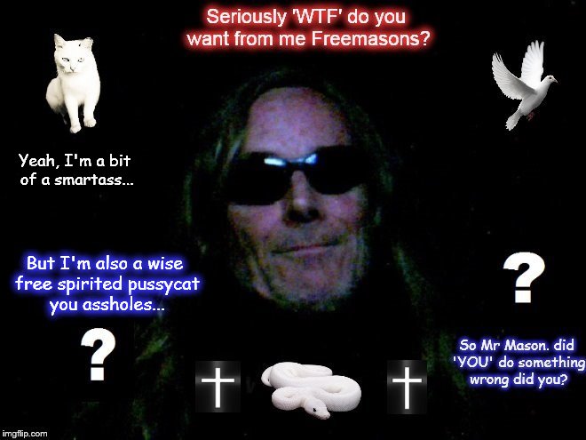 A wise free spirited pussycat, and a smartass ~ Smily Masons Hades