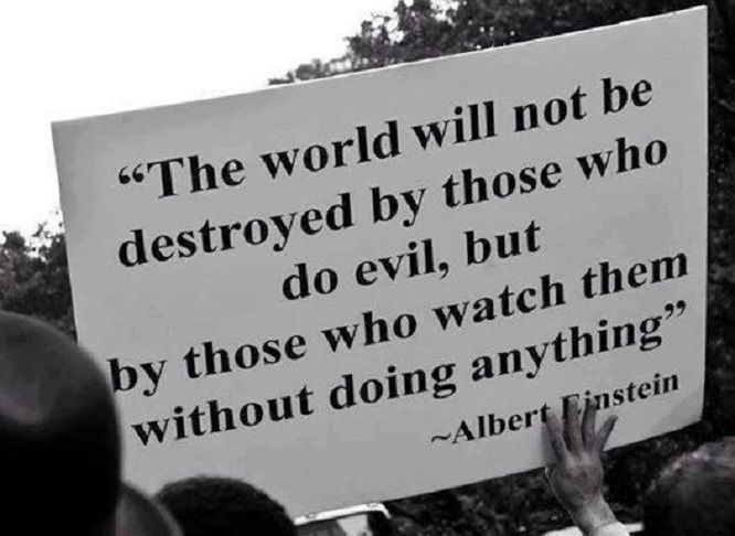 Albert Einstein ~ Destroy by default ~
