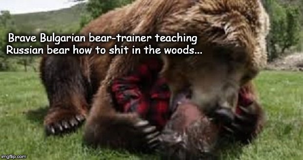 Brave Bulgarian Bear-trainer