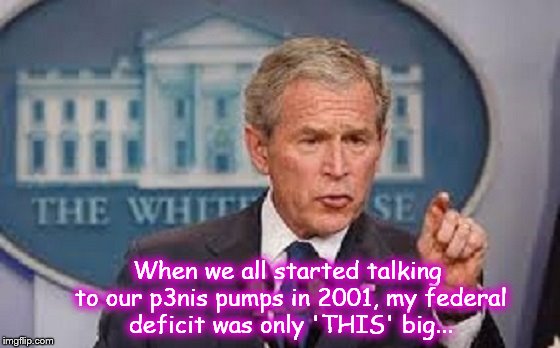 Bush penis pump 2001 ~