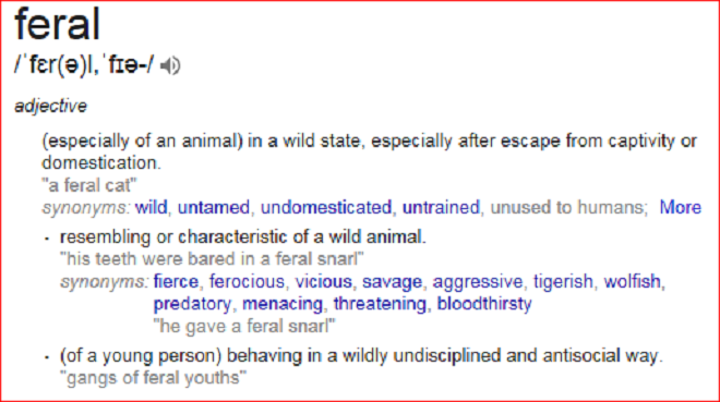 Feral meaning