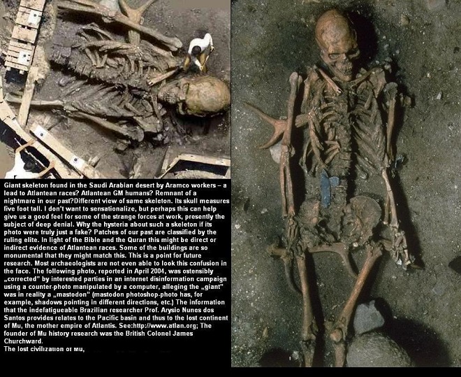 Giant Skeletons Saudi Arabia