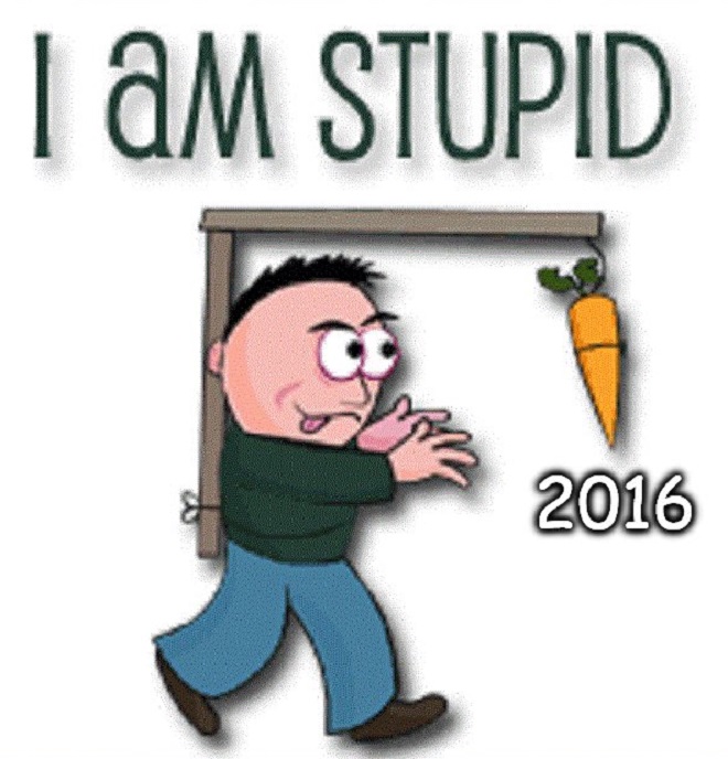I-am stupid 2016 660