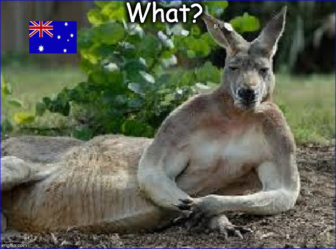 Kangaroo Australian Flag ~ What