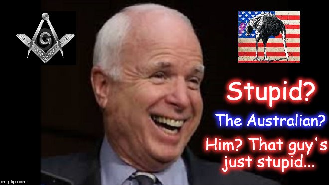 McCain stupid