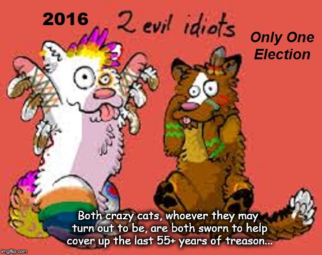 Two evil idiots ~ Cats ~ 2016