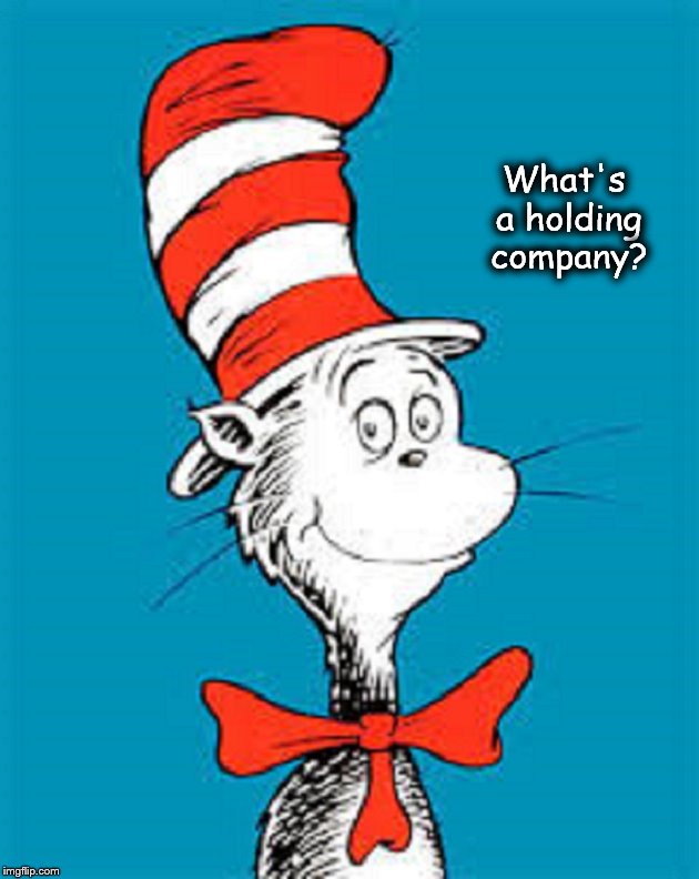 Zeus Seuss Cat ~ Holding company