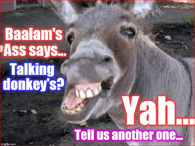 America religious right talking donkey ass