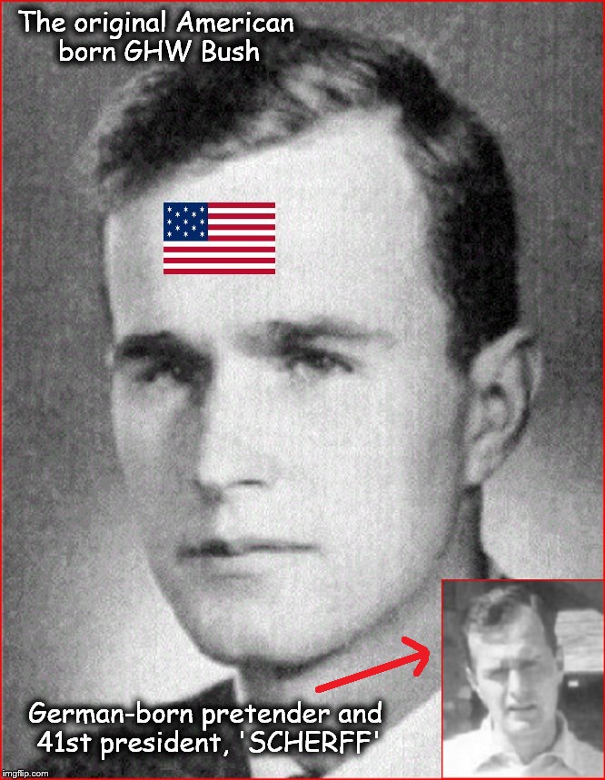 BUSH BOY AND PRETENDER