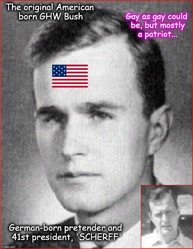 Bush boy, gay as gay could be ~ Felix