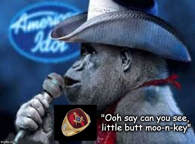Little Butt monkey American Idol Mason