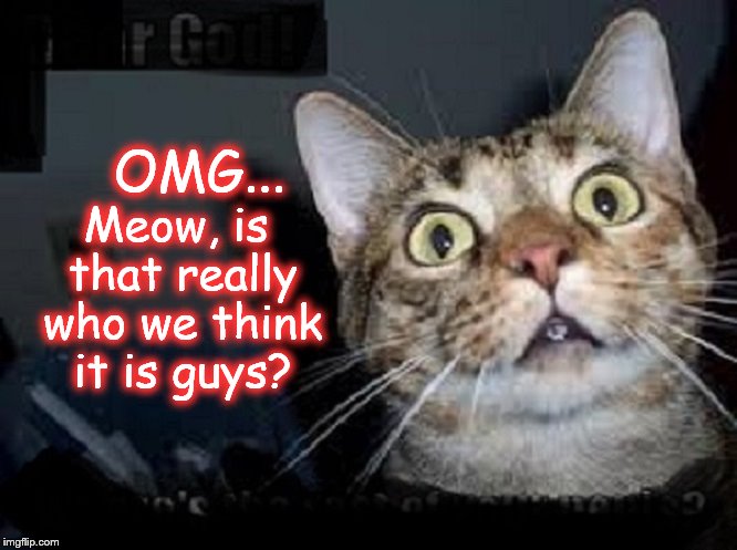 Meow ~ OMG ~ Is that who we think it is