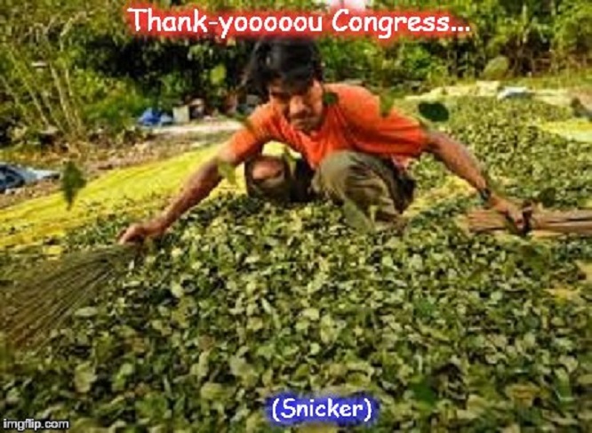 Coca ~ Thank you Congress ~
