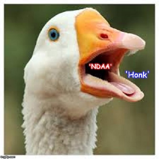 Goose NDAA Honk ~