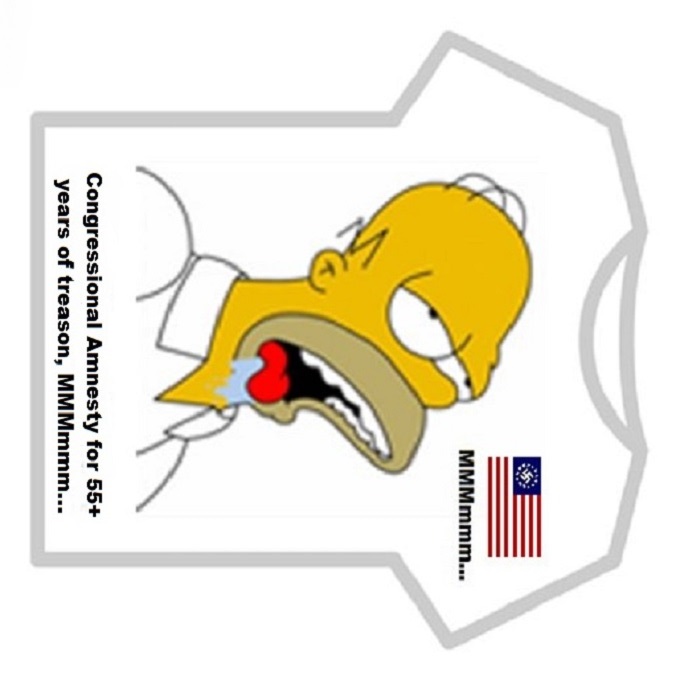Homer American Flag kill Muslims TREASON AMNESTY upside down