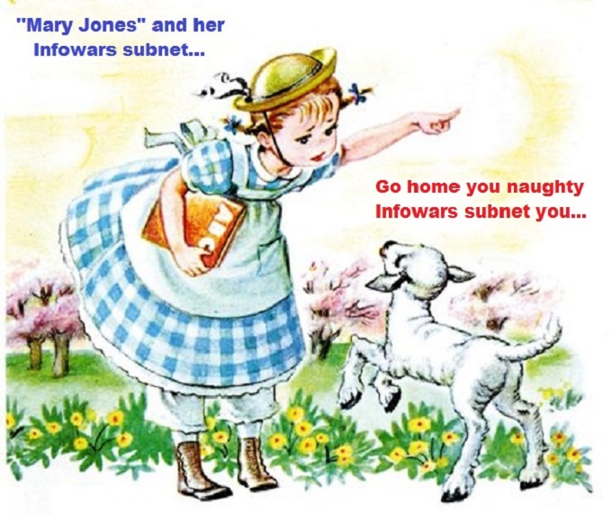Mary Jones and her Infowars subnet