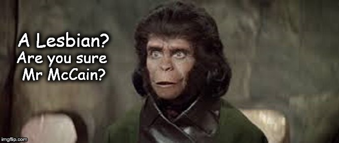 McCain lesbian