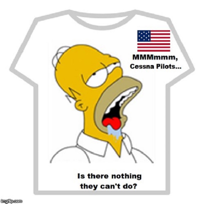 MMMmmm Cessna Pilots ~ Homer Simpson 666