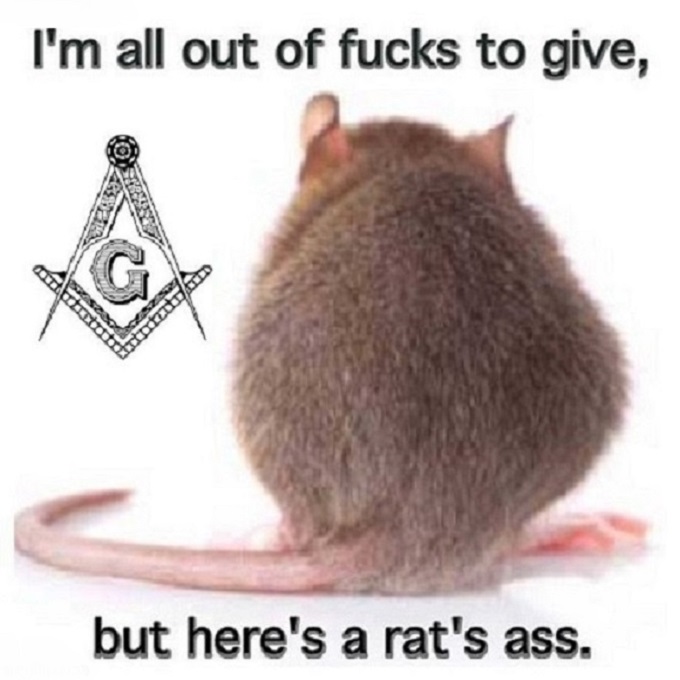 Rat's ass Mason ~ TIDY 680