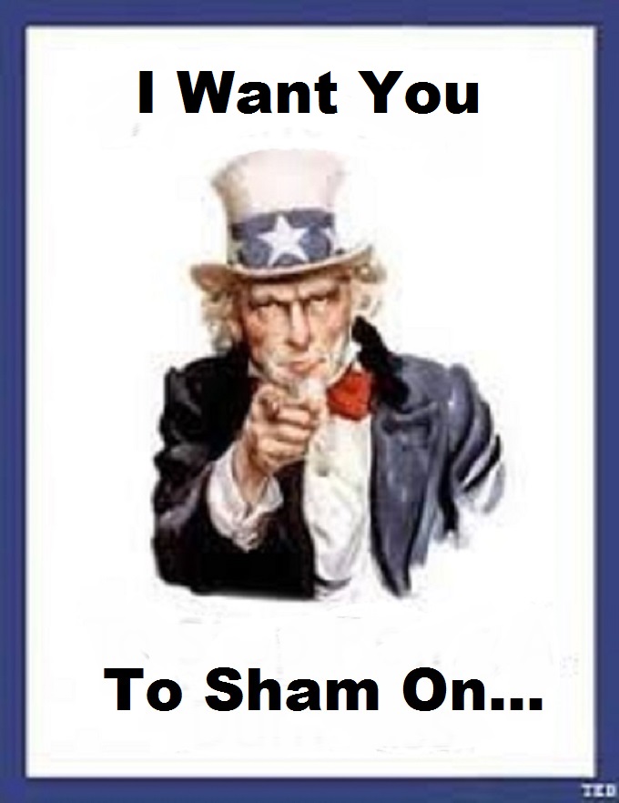 Stop being a dumbass ~ Uncle Sam SHAM ON I-WANT YOU