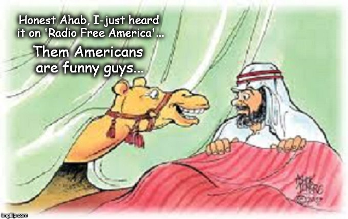Camel Ahab Americans are funny guys