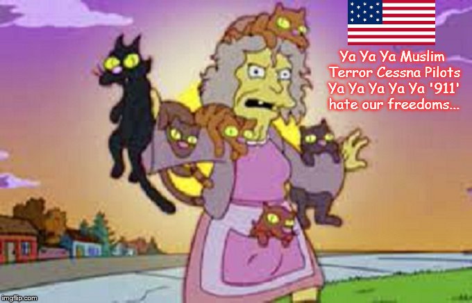 Cat Lady Muslim Terror American Flag Simpsons