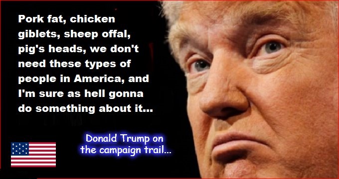 Donald Trump on the campaign trail