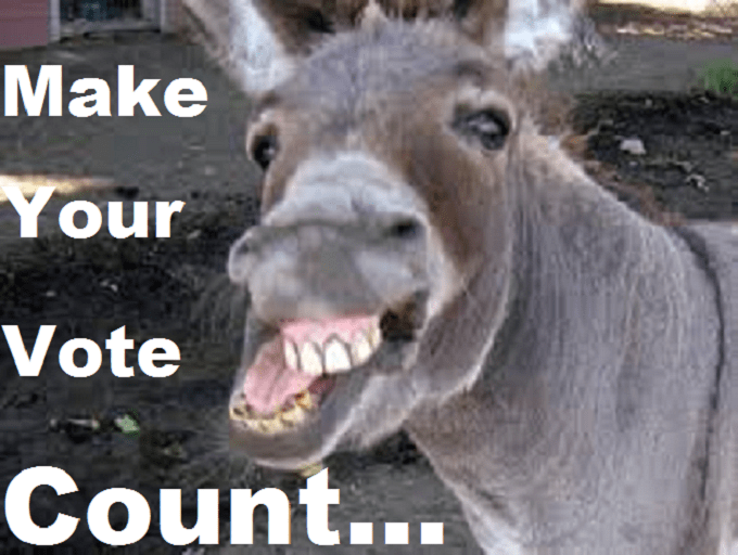 Donkey Ass Make your vote count