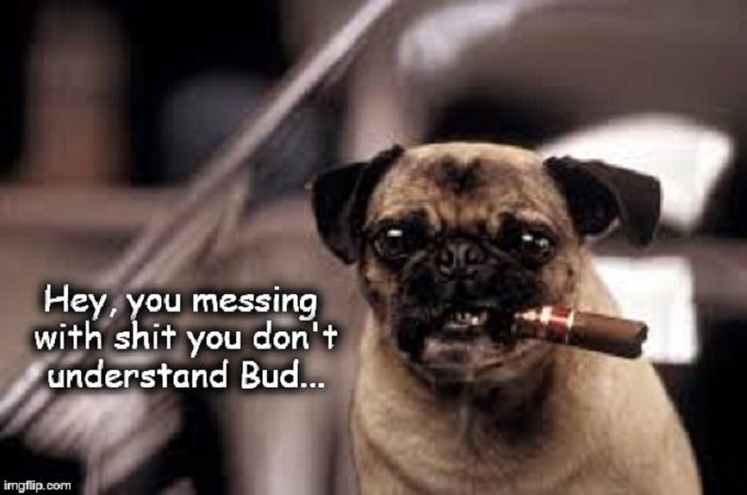 Frank the Pug dog ~ MIB ~ Shit you don't understand ~