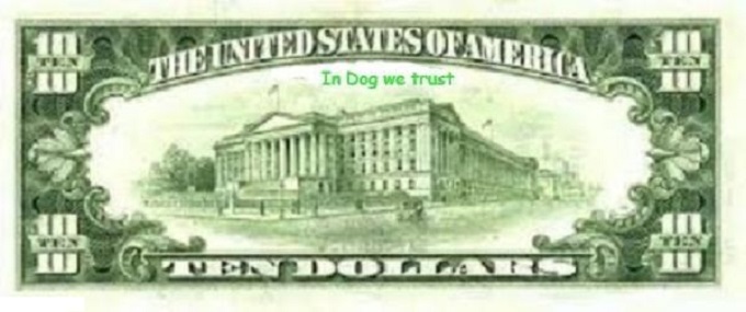 In Dog we trust 680