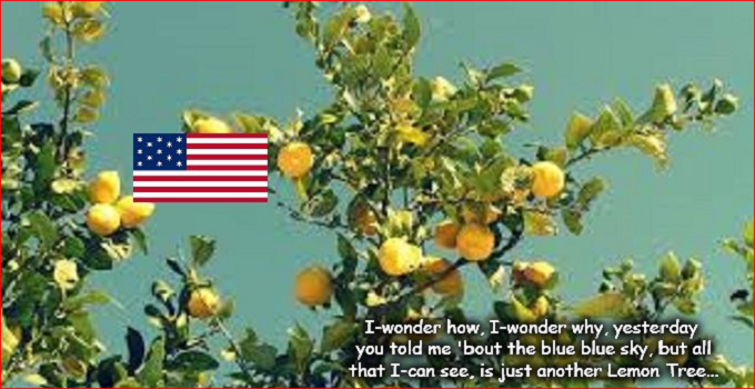 Just another Lemon Tree America