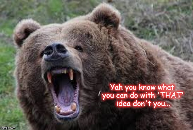 Kodiak Bear That Idea