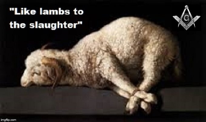Lambs to the slaughter Masons
