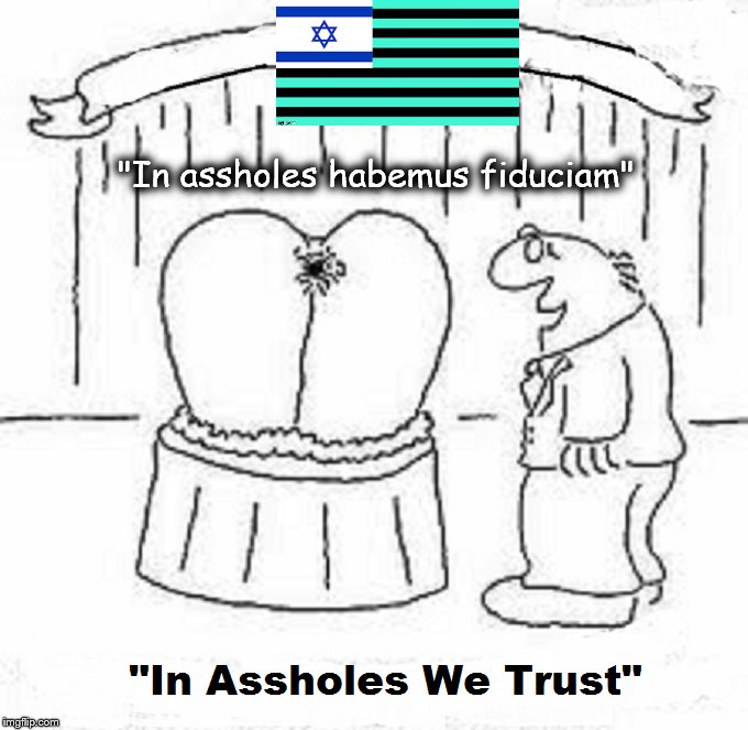 NWO Flag ~ In assholes we trust