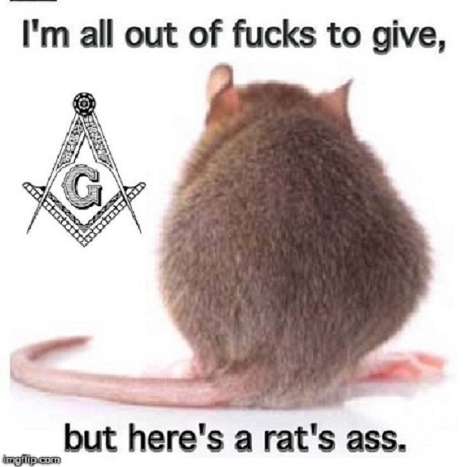 Rat's ass Mason ~
