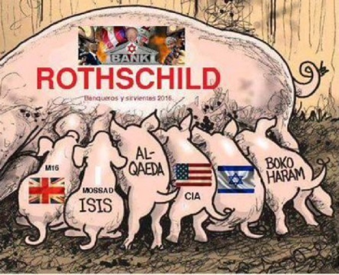 Rothschild Pigs 680